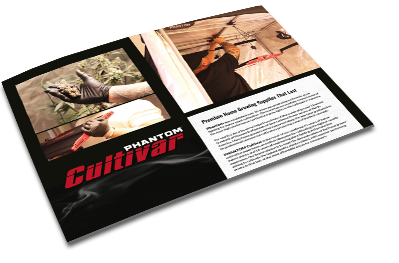 Phantom Cultivar Brochure